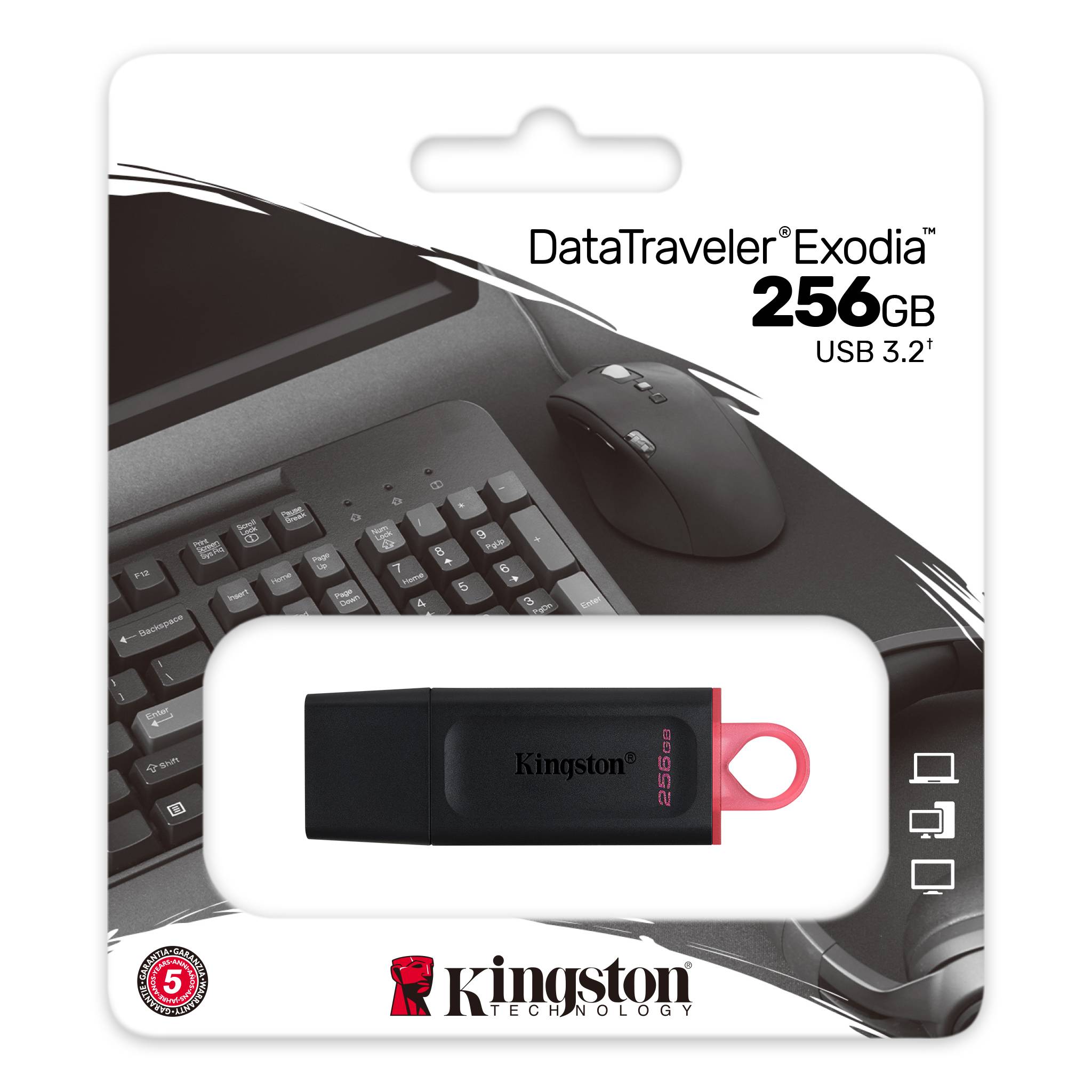 Flash Disk 256GB USB 3.2 kingston Exodia