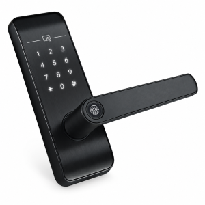 Brava Smart me Bateri OnlySmart H819B TTLock (App/Gisht/Password/Kartë)