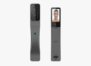 Bravë Smart Lock N30 me Njohje Fytyre / Gjurmë Gishti / RFID / PIN